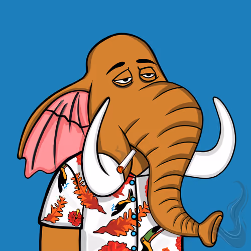 Untamed Elephant #1778