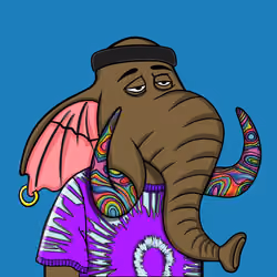 Untamed Elephant #463