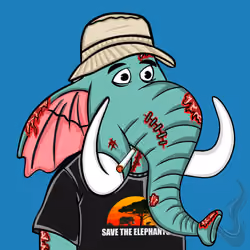 Untamed Elephant #1776
