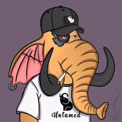 Untamed Elephant #1748