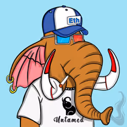 Untamed Elephant #603