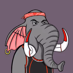 Untamed Elephant #5908