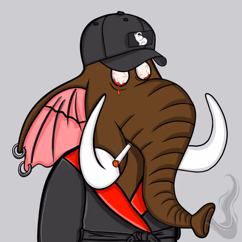 Untamed Elephant #5505