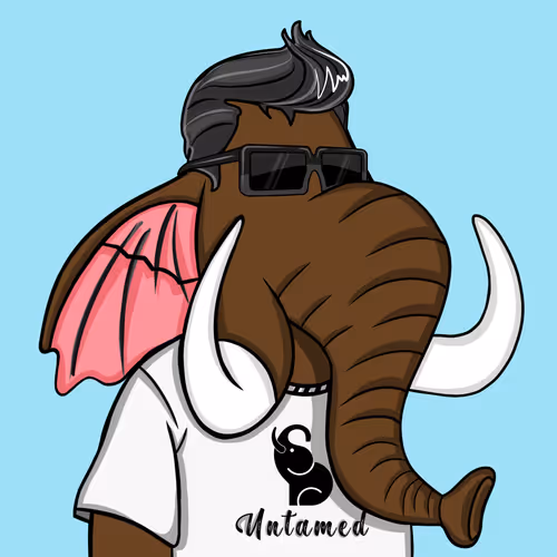 Untamed Elephant #7499