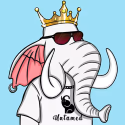Untamed Elephant #2966