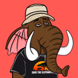 Untamed Elephant #3304