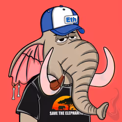 Untamed Elephant #293