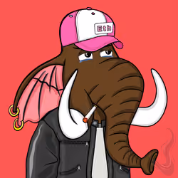 Untamed Elephant #1636