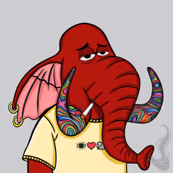 Untamed Elephant #1267