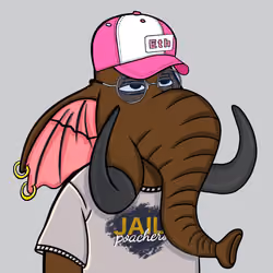 Untamed Elephant #2545