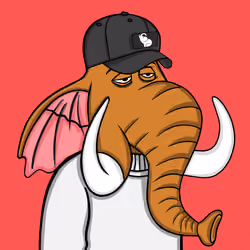 Untamed Elephant #3073