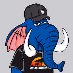 Untamed Elephant #6213
