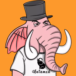 Untamed Elephant #3510