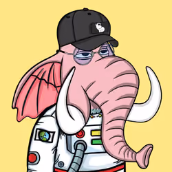 Untamed Elephant #5824