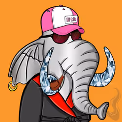 Untamed Elephant #1466