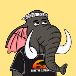 Untamed Elephant #3291