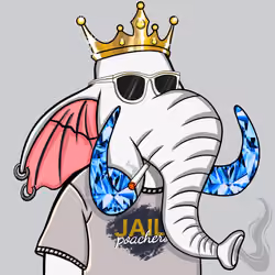 Untamed Elephant #947
