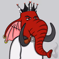 Untamed Elephant #6620