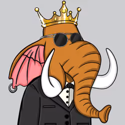 Untamed Elephant #2865