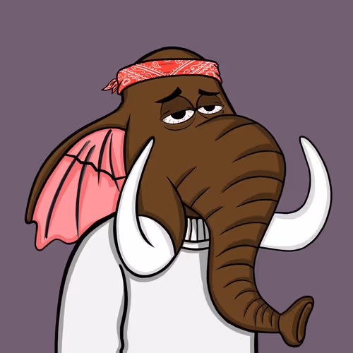 Untamed Elephant #5537