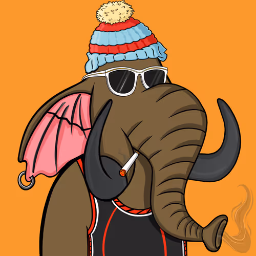 Untamed Elephant #1621