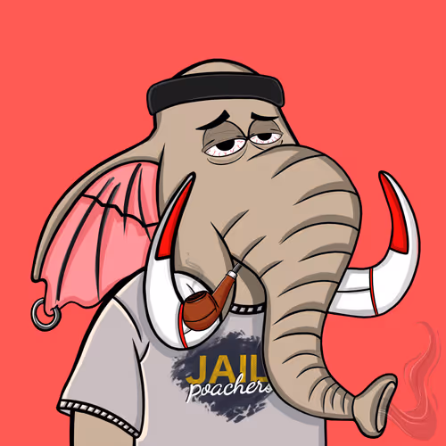 Untamed Elephants