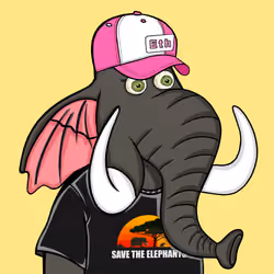 Untamed Elephant #4305