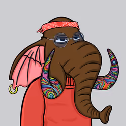 Untamed Elephant #5812