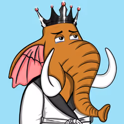 Untamed Elephant #2236