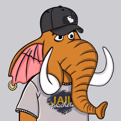 Untamed Elephant #2711