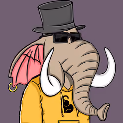 Untamed Elephant #2055