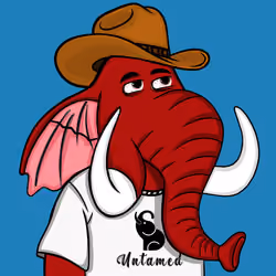 Untamed Elephant #5070