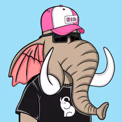Untamed Elephant #5271