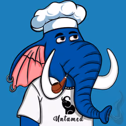 Untamed Elephant #1508