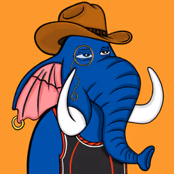 Untamed Elephant #2404