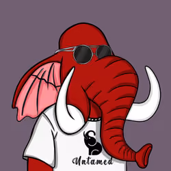 Untamed Elephant #6641