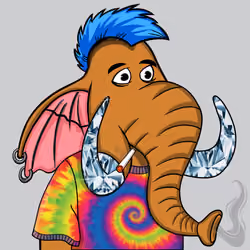Untamed Elephant #6298