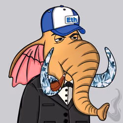 Untamed Elephant #1579