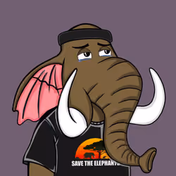 Untamed Elephant #5258