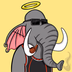 Untamed Elephant #1319