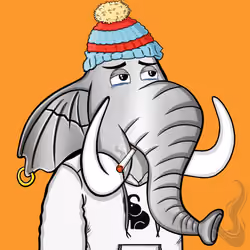 Untamed Elephant #1334