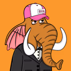 Untamed Elephant #5071