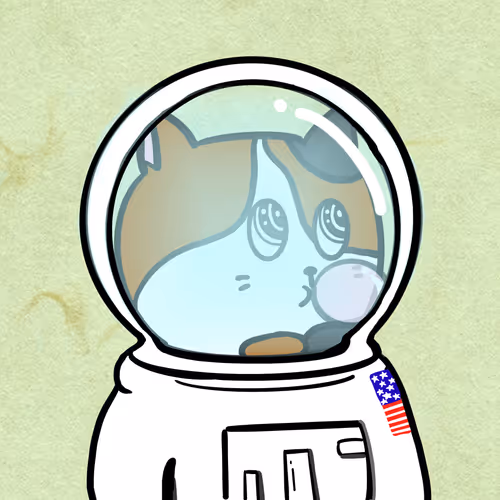 #13
