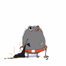 905