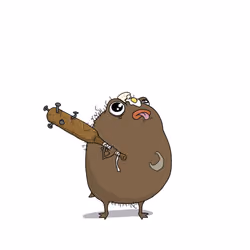 803