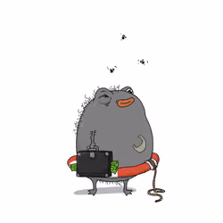 447