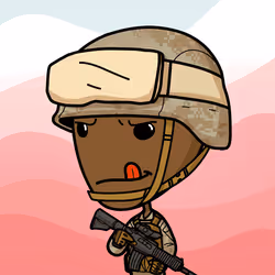 43
