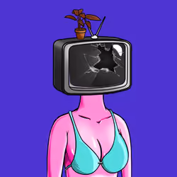 Broadcaster #544