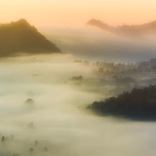 Nature In Harmony Ii