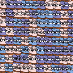 43